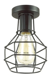 Накладной светильник Harald 3637/1C Lumion