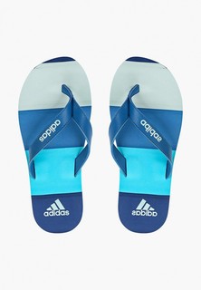 Сланцы adidas