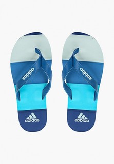 Сланцы adidas