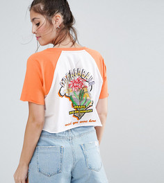 Свободная футболка с контрастными рукавами реглан и принтом ASOS PETITE - Мульти