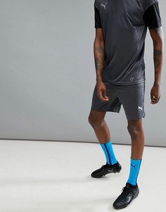 Серые шорты Puma Football NXT 65557304 - Серый