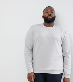 Светло-серый свитшот ASOS DESIGN Plus - Серый
