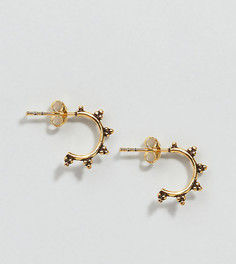 Маленькие позолоченные серьги-кольца Kingsley Ryan - Золотой