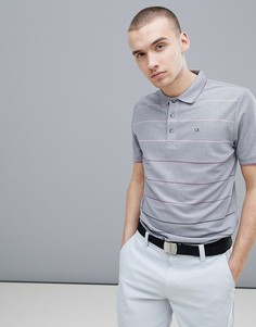 Поло серого цвета с градиентными полосками Calvin Klein Golf CKMS18106 - Серый