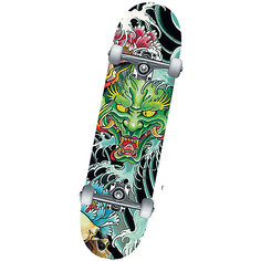 Скейтборд MaxCity Dragon зеленый