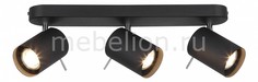 Спот Fanale SL597.401.03 St Luce