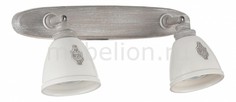 Спот Agnes SP289-CW-02-BG Maytoni
