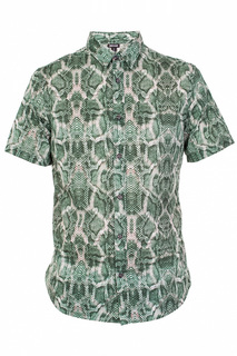 Рубашка Just Cavalli