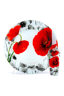 Тортовница с лопаткой 30,5 см LORAINE