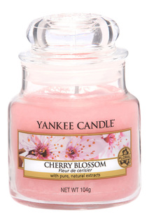 Свеча маленькая Цветущая вишня YANKEE CANDLE