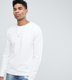 Белый свитшот из ткани пике ASOS DESIGN Tall - Белый