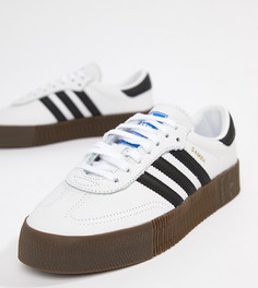 Белые кроссовки с темной резиновой подошвой adidas Originals Samba Rose - Белый