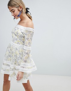 Приталенное платье с цветочным принтом Dolly &amp; Delicious - Мульти