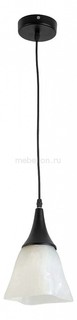 Подвесной светильник Jillian TL4410D-01BL Top Light