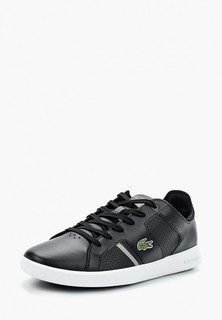 Кеды Lacoste