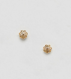 Серьги-гвоздики с гравировкой из позолоченного серебра ASOS DESIGN - Золотой