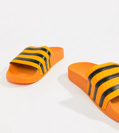 Оранжевые сандалии adidas Originals Adilette - Черный