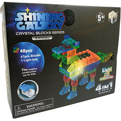 Светящийся конструктор 4 в 1 Shining Galaxy "Животные", 48 деталей
