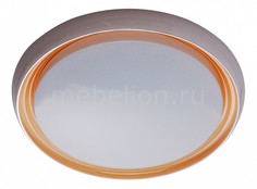 Накладной светильник Ривз 7 674011801 Mw Light