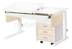 Стол учебный Лидер 09863 Астек Элара