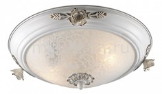 Накладной светильник Bone 2692/2C Odeon Light