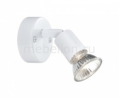 Спот Olana 57381-1 Globo