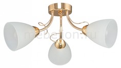 Потолочная люстра 8848 1-8848-3-FG E14 МАКСИСВЕТ