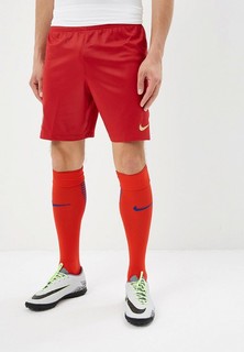 Шорты спортивные Nike