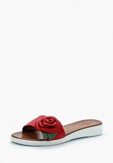 Сабо Pierre Cardin