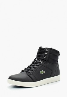 Кеды Lacoste