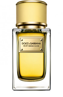 Парфюмерная вода Velvet Collection Mimosa Bloom Dolce & Gabbana