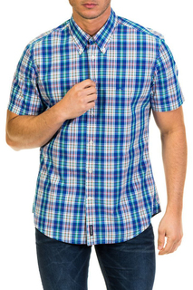 shirt MCGREGOR