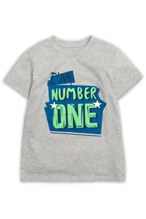 Футболка Pelican