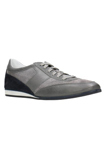 sneakers GINO ROSSI