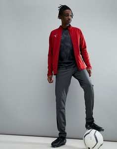 Красный спортивный костюм Puma Football NXT 65558002 - Красный