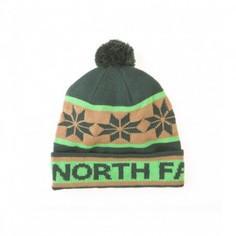 Шапка The North Face