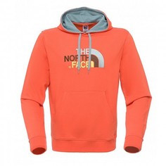 Толстовка The North Face