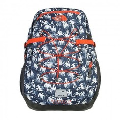 Borealis Classic Backpack The North Face