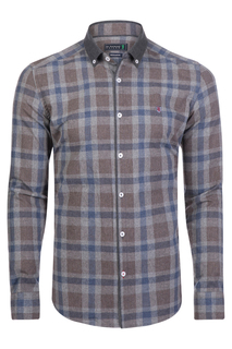 shirt Sir Raymond Tailor