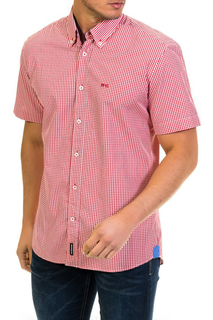 shirt MCGREGOR