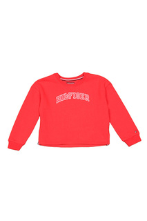 Толстовка Tommy Hilfiger