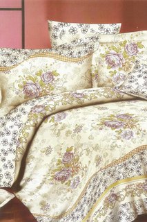 Постельное бельё 1,5 сп 70х70 BegAl