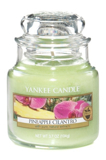 Свеча маленькая Ананас и кинза YANKEE CANDLE