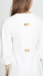 Tibi Sculpted Button Back Dress