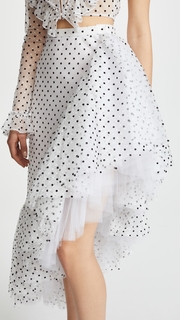 Rodarte Asymmetrical Ruffle Skirt