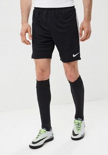 Шорты спортивные Nike