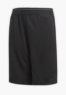 Шорты спортивные adidas