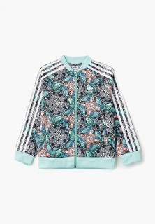 Олимпийка adidas Originals