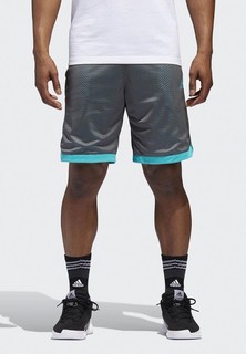 Шорты спортивные adidas