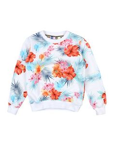 Толстовка Msgm